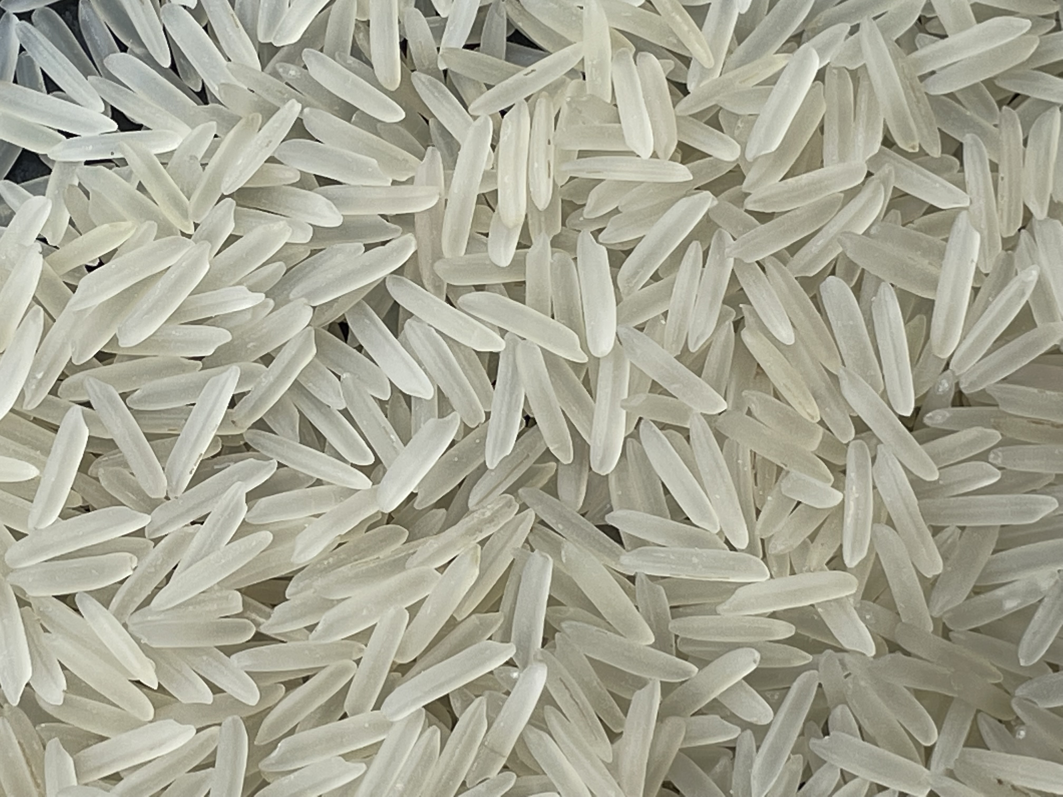 IR 64 Parboiled Rice